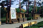 Park Zdrojowy w Konstancinie wypięknieje