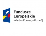 Protokół z wyboru partnera krajowego do wspólnego przygotowania i realizacji projektu w ramach konkursu finansowanego z Europejskiego Funduszu Społecznego Program Operacyjny Wiedza Edukacja Rozwój 2014  2020, Oś priorytetowa IV Innowacje społeczne i współpraca ponadnarodowa, Działanie 4.3 Współpraca ponadnarodowa, 